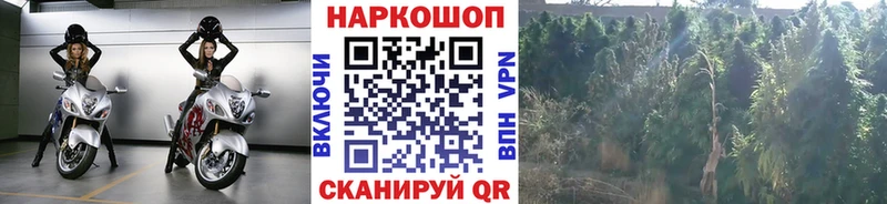 Магазины продажи наркотиков Верхнеуральск Гашиш Экстази Мефедрон Марихуана Cocaine СК