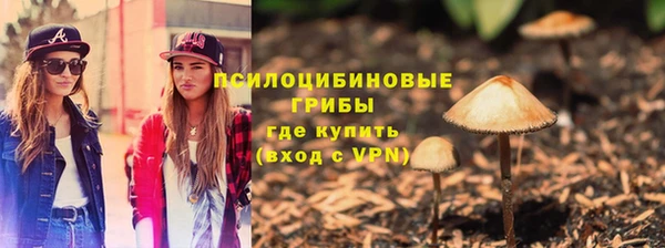 прущая мука Армянск